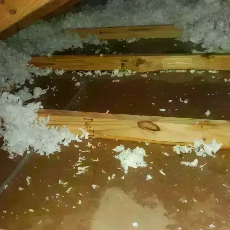 Attic Water Damage in South Portland, ME